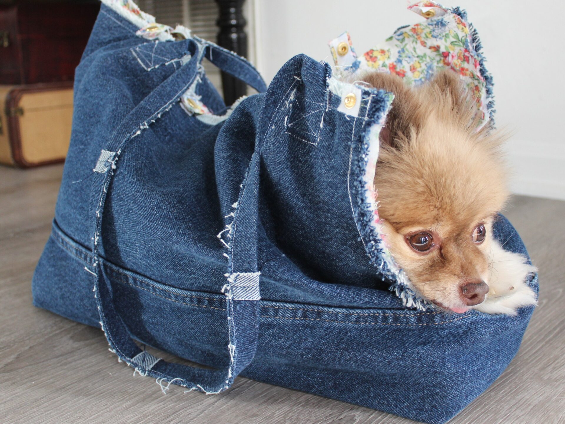 A dog is laying in the bag of jeans